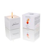 Vela de Masaje Sex On The Beach