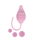 Pelvix Concept