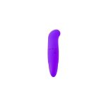 Mini Vibrador Punto G Toyz4Lovers