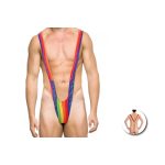 Trikini Bandera LGTB
